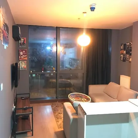 C.t Konaklama Dumankaya Ikon Apartment *