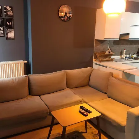 C.t Konaklama Dumankaya Ikon * Istanbul